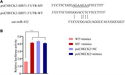 MiRNA-Seq reveals key MicroRNAs involved in fat metabolism of sheep liver